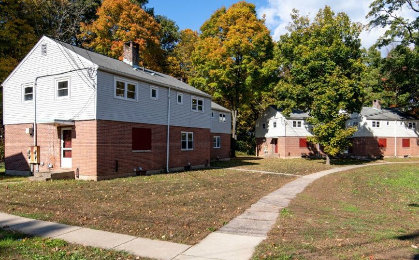 Bos-Yale-Acres.jpg