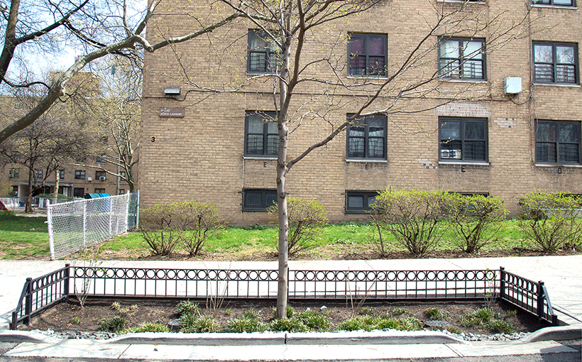 Earth Day at Edenwald Houses in the Bronx