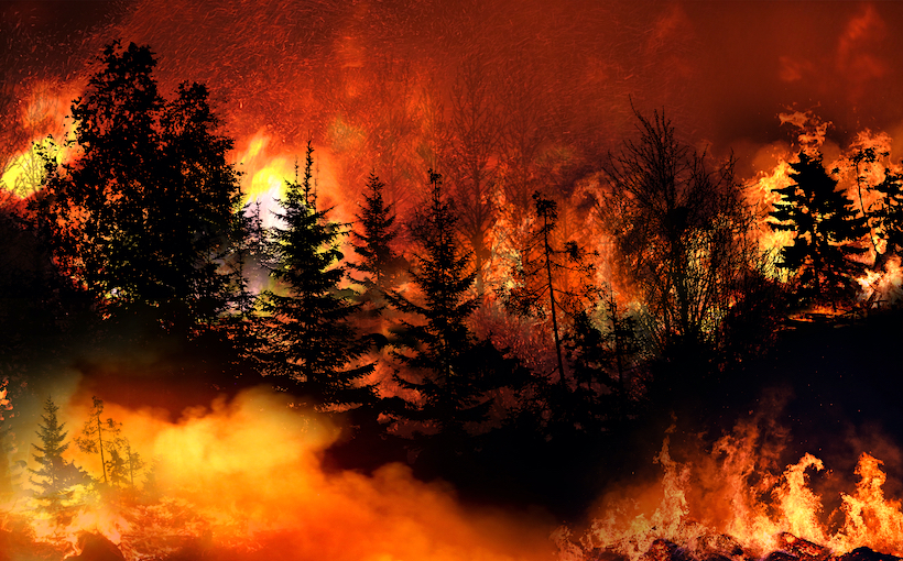 California Declares State of Emergency for Wildfires Amid Record Heat Wave