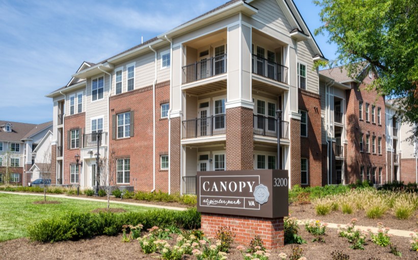 Connect-Media-Canopy-Ginter-DC.jpg