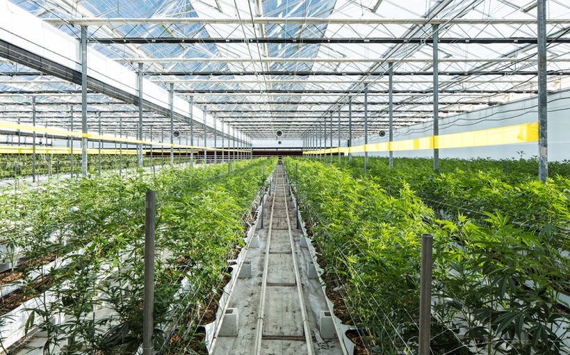 Connect-Media-Innovative-Industrial-Properties.jpg