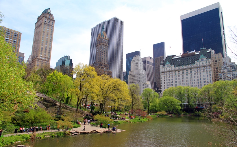 Connect-Media-New-York-Central-Park.jpg