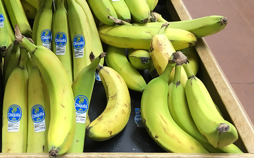 Bananas @ Traders Joe’s