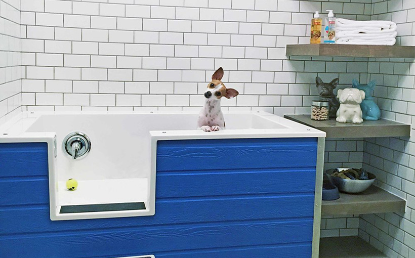 Pet-Friendly Features Becoming Key Multifamily Amenities