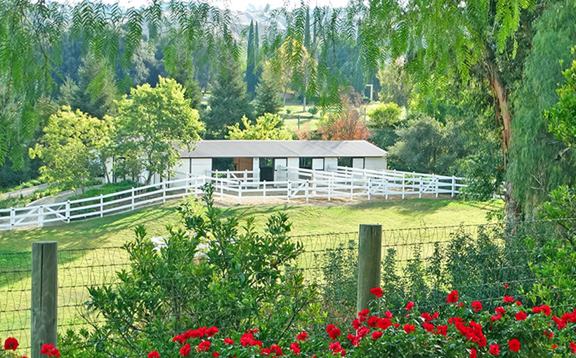 Austin: King of the At-Home Acreage
