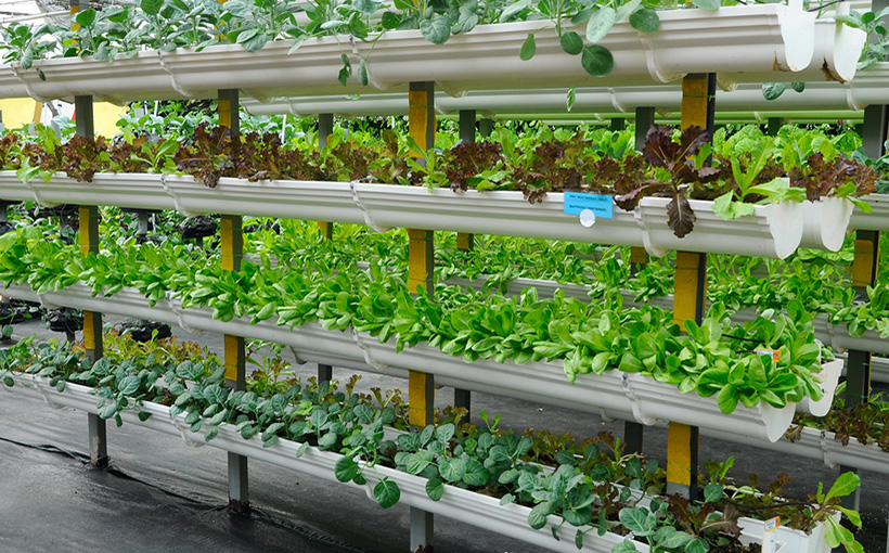 Indoor Farming and Qualified Opportunity Funds