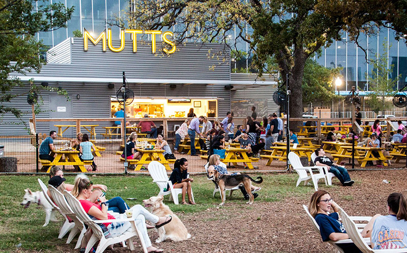 Mutts Canine Cantina Barking at New Braunfels