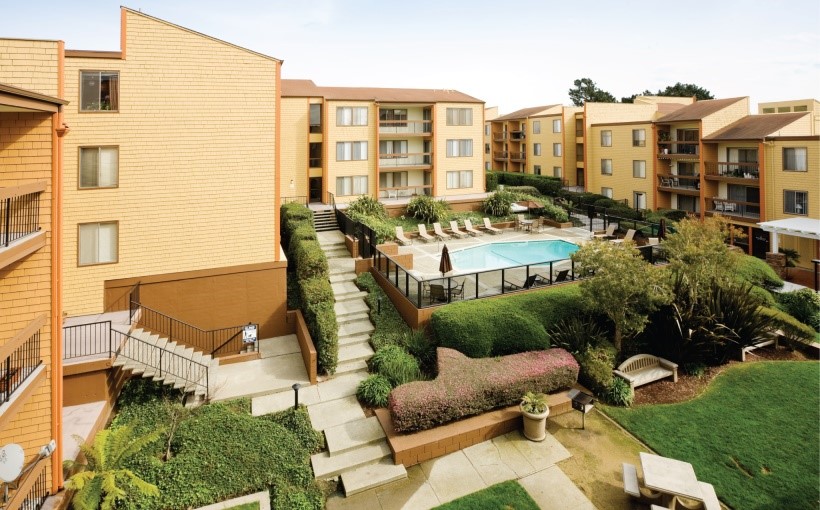 SF-Delphine-on-Diamond.jpg