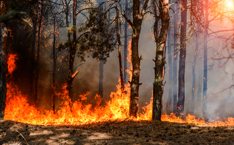 CRE Investors May Be Underestimating the Impact of Insurance Costs