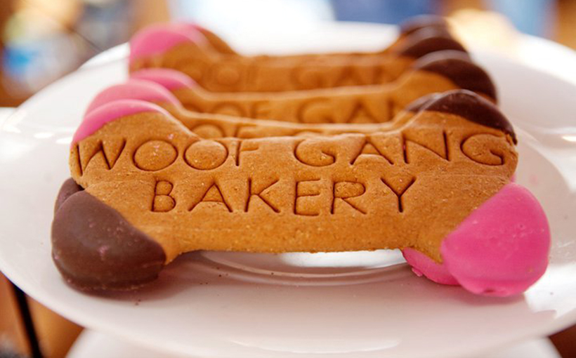 Woof Gang Bakery Planning Central Texas Growth