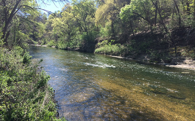 Hutto Planning Regional Park, Buys 65 Acres
