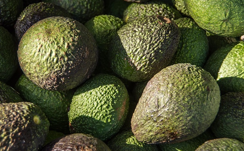 Construction Begins on Avocado Warehouse