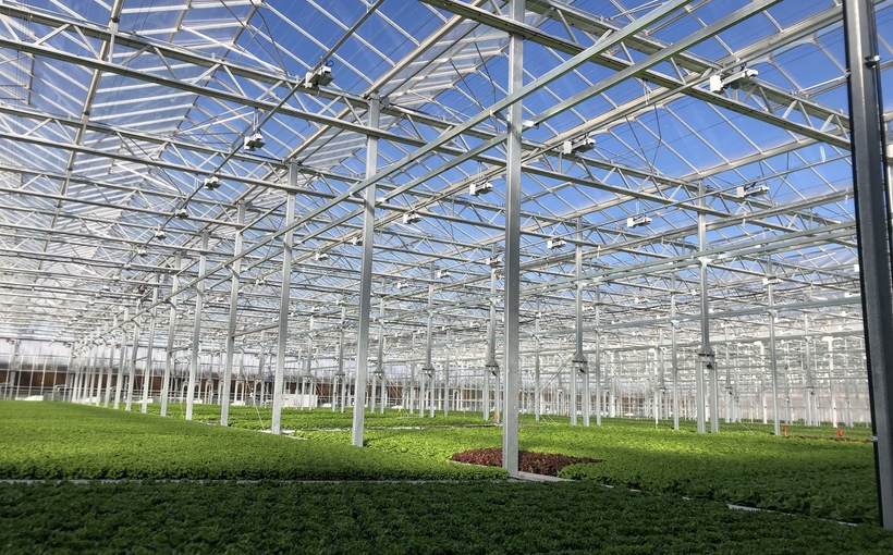 ch_Gotham-Green-Pullman-facility.jpg