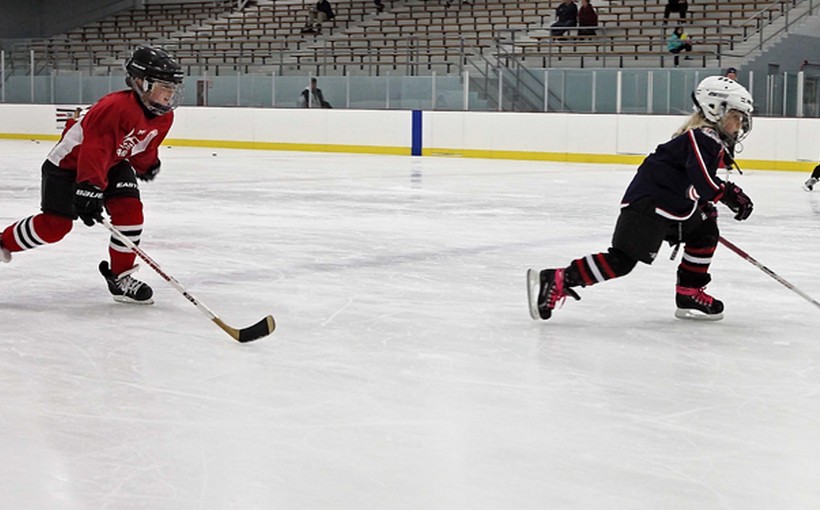 ch_mcfetridge-arena.jpg