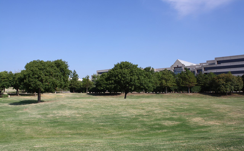 Owner of Building Buys 30-Acre Land Beneath