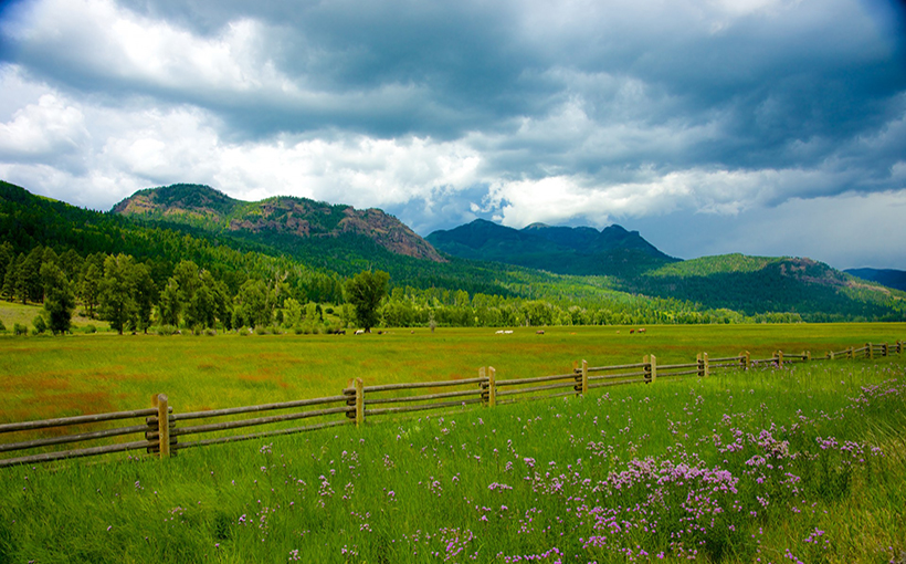genericranchland.jpg