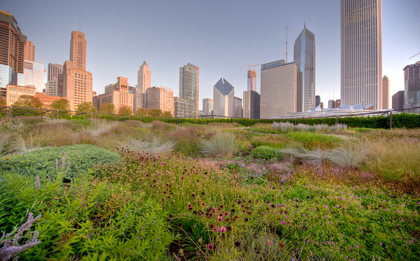 Chicago Named Nation’s Greenest City in CBRE Study