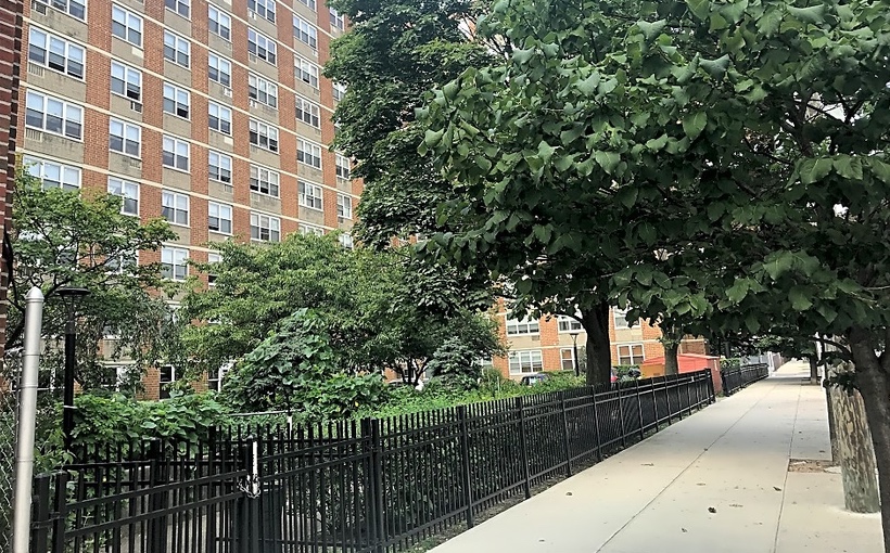 ny_Catherine-Sheridan-Houses-Queens-NYC.jpg
