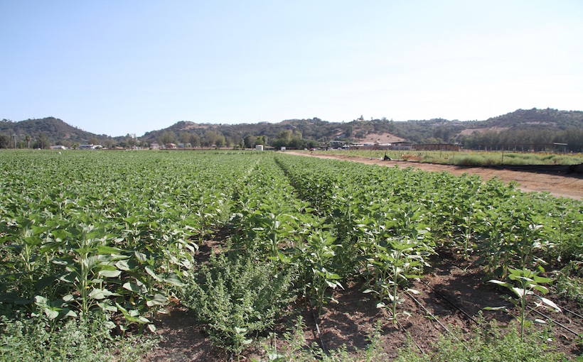 sd_Konyn-Ranch-Photo-main.jpg