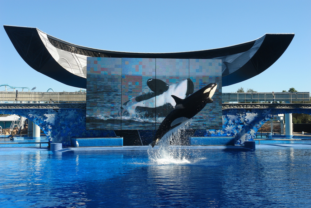 seaworld_SD.jpg