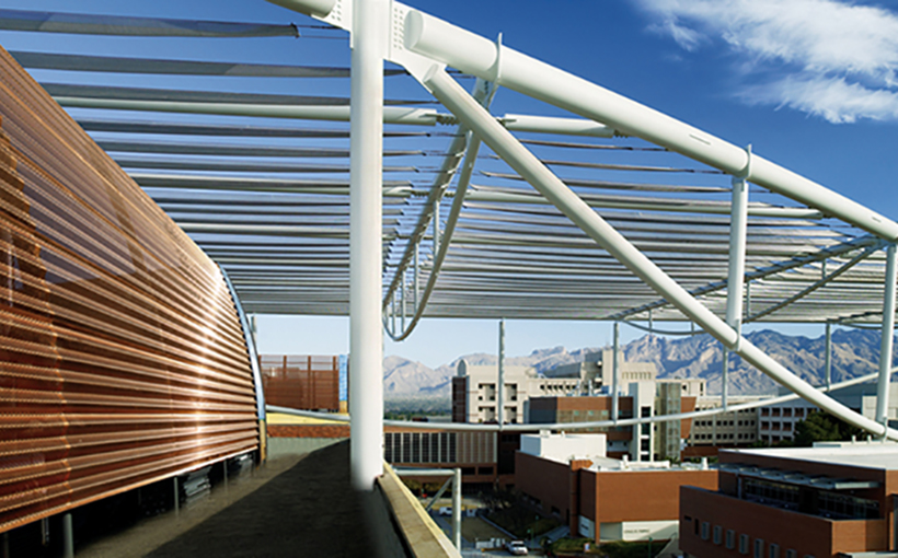 Tucson Biotech Benefits Outlined in White Paper