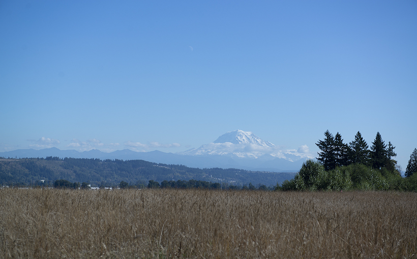 west_Bertch-Land_seattle.jpg