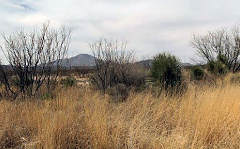 General Land Office Marketing 24K-Acre East Mile High Ranch