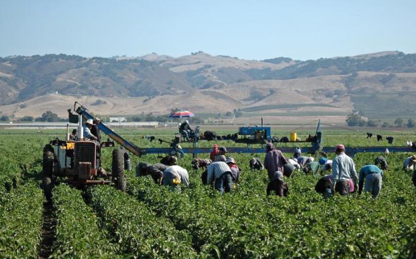 California Ramps Up Vaccines for Central Valley Ag Workers