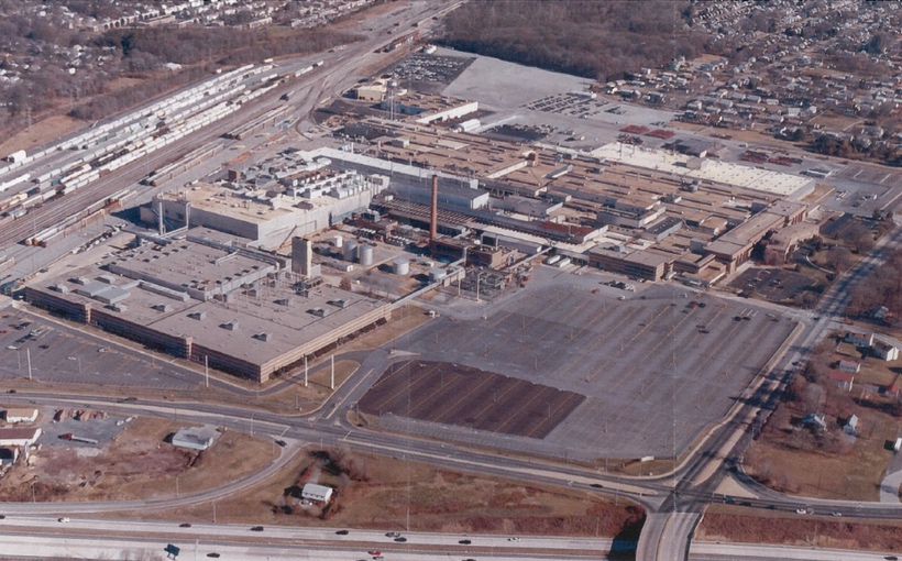 NE-GM-Boxwood-plant-Wlmington-DE.jpg