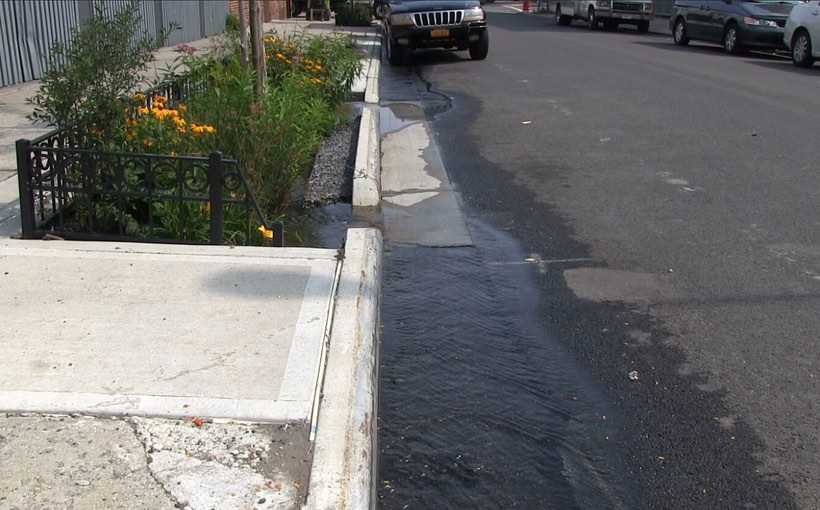 ny_Sidewalk-Rain-Garden.jpg