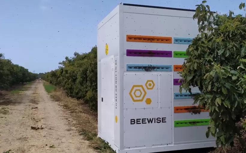 Beewise