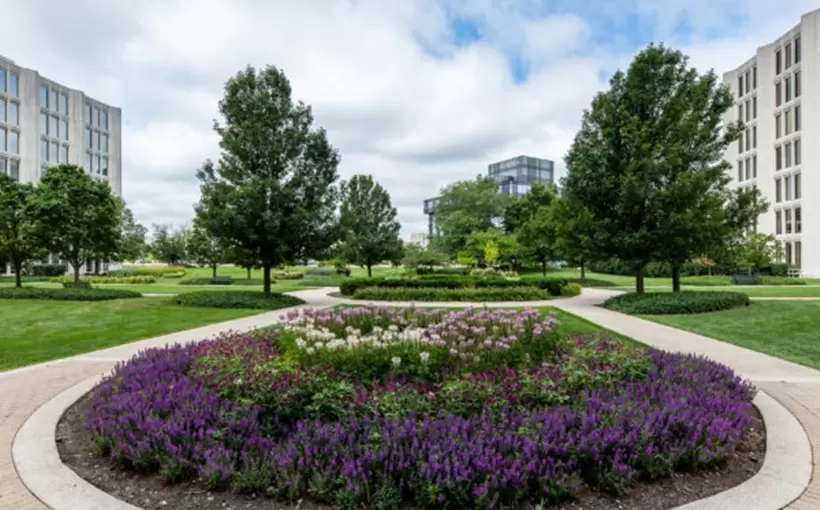 Commerce Plaza Oak Brook IL Zeller Realty