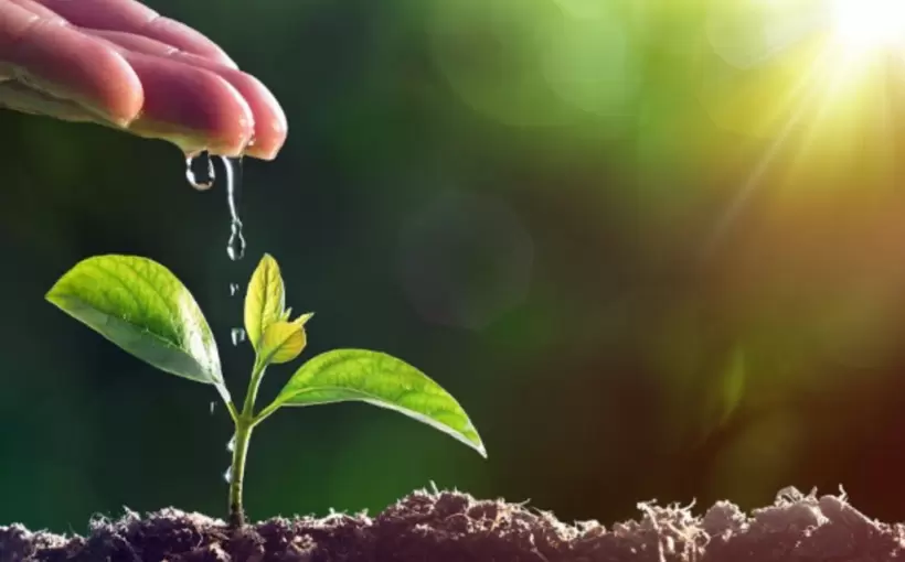 Grow Generation