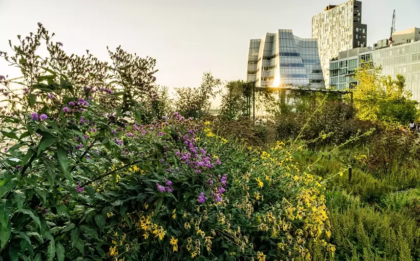 The High Line Manhattan
