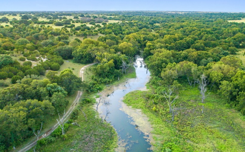Clear Branch Ranch