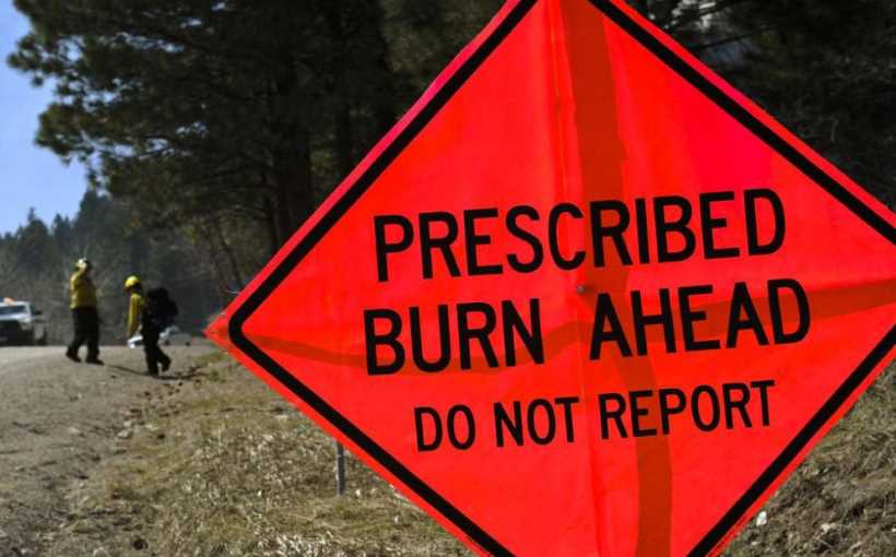 Prescribed Burn Torches 650 Acres