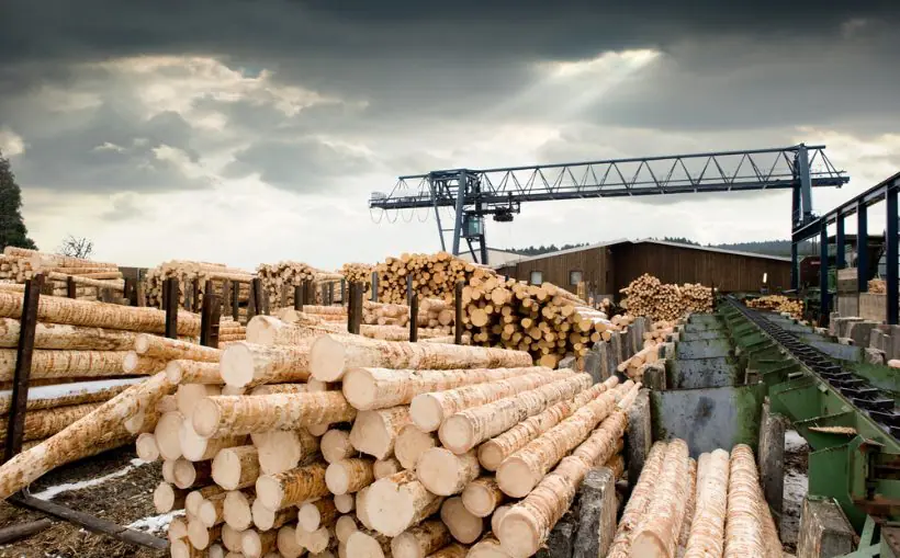 Saw Mill