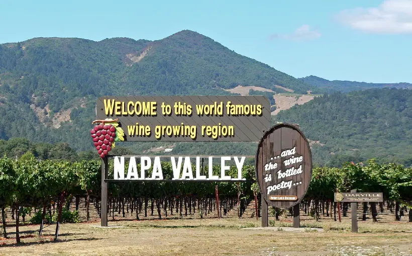 BAYnapasignage
