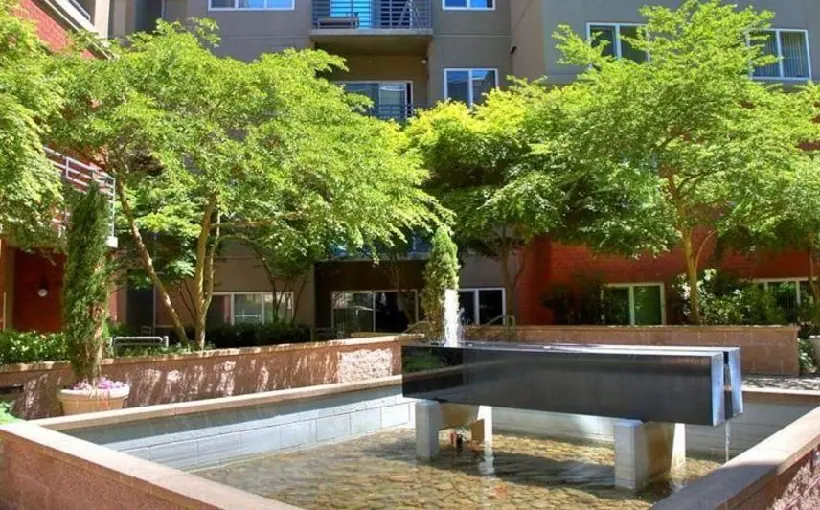 PNWbellevueapts