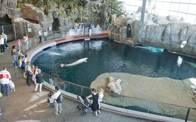 Shedd Aquarium in Chicago has launched a pilot investment program geared toward ESG investing