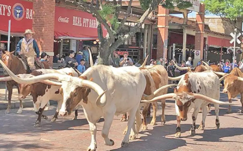 Ft. Worth Stockyards to get 306-unit. multifamily community.