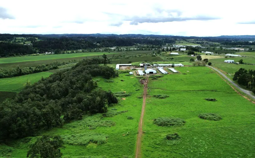 Higgenbotham Auctions Prime Redevelopment Land in Salem