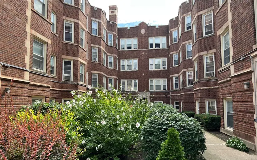 CHI 7381 N Damen Chicago Essex Realty