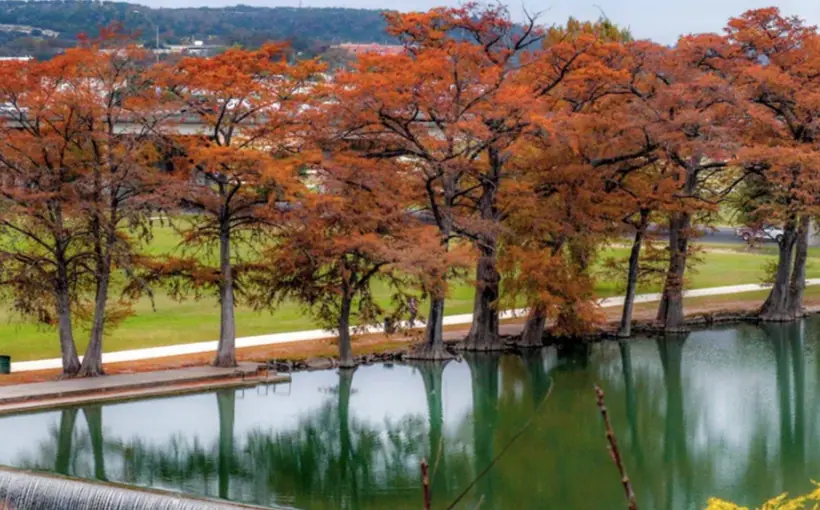 JV to work on Kerville Mixed-Use Project