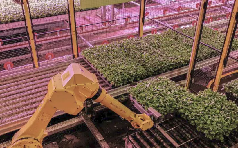 Soli building 140k SF indoor farm in San Antonio