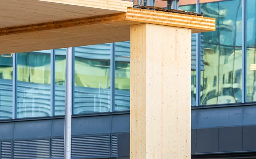 Mass Timber and Sustainability: Q&A with PMA’s Danny Harrington