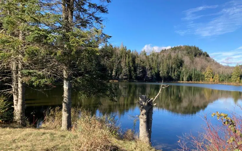CGH Land Trust, LLC has purchased a 7,965-acre land tract in Pittsburg, NH for $7.2 million.