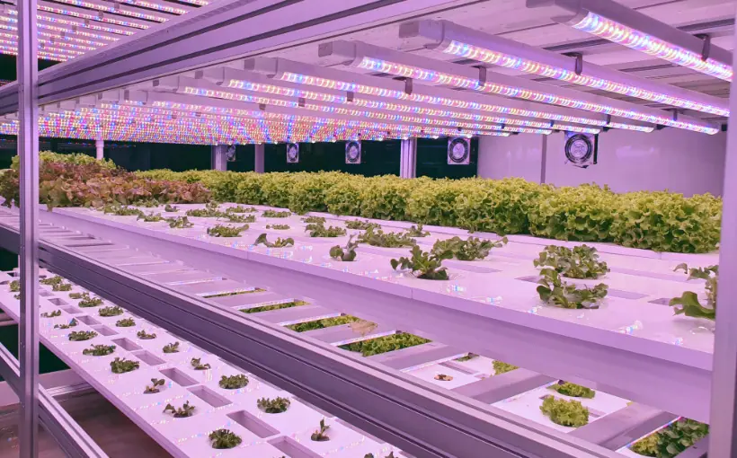 Realty Income & Plenty Team-Up for $1B of Indoor Farm Projects