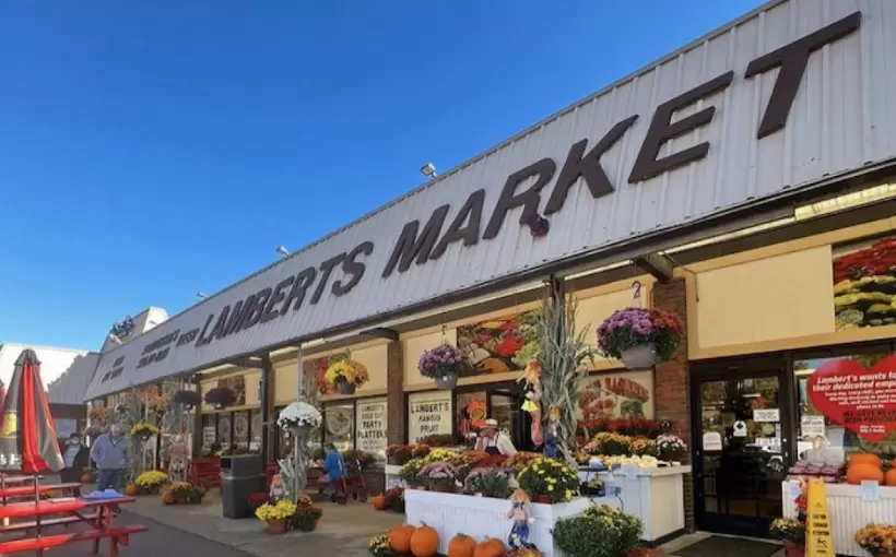 lamberts
