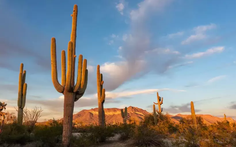 Arizona developers hope to build $1B movie studio
